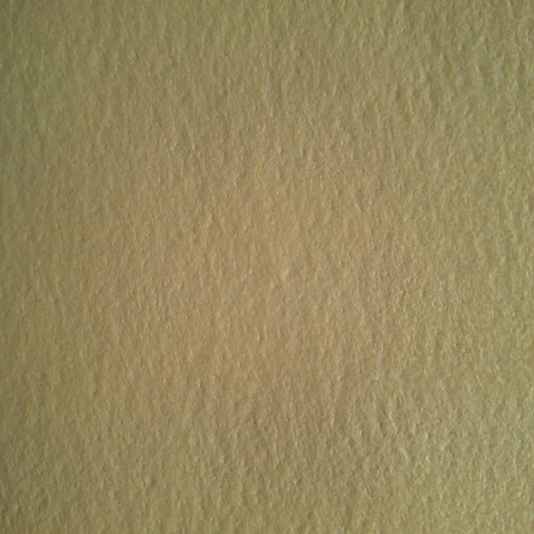 Snáthaid PPS Feilt le PTFE Membrane